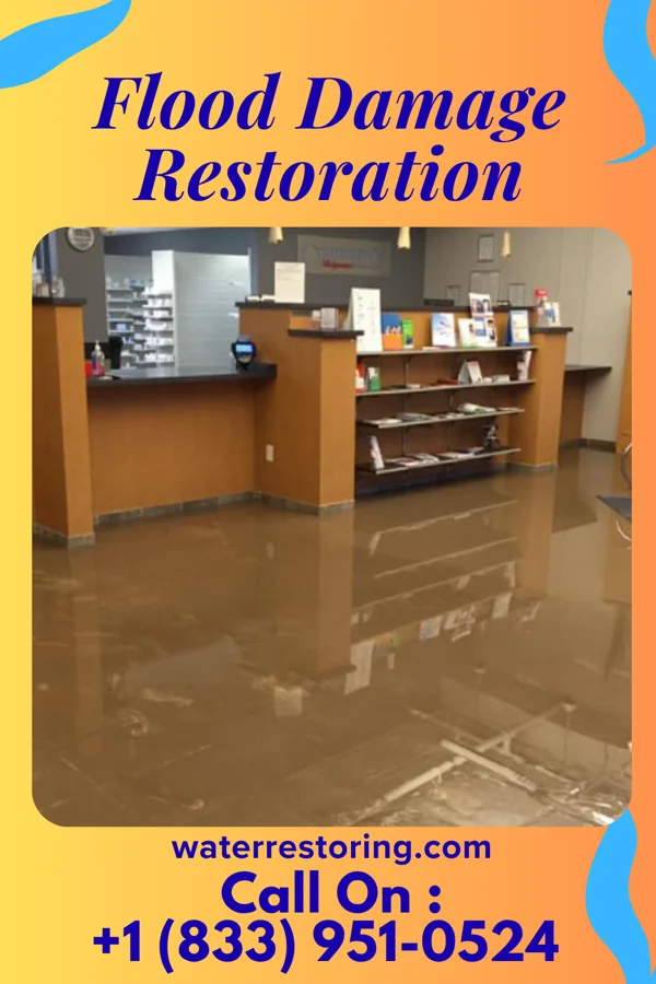 Flood Damage Restoration in Coventry Lake, CT