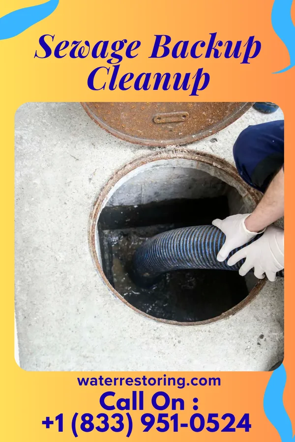 Sewage Backup Cleanup in Coventry Lake, CT