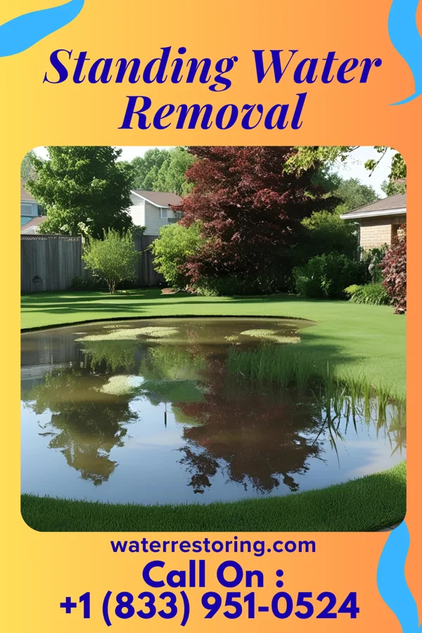 Standing Water Removal in Coventry Lake, CT